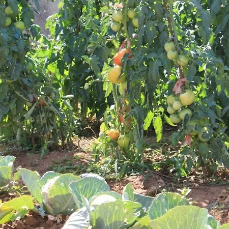 By The Sea Tkon, Pasman - 8227 Apartament