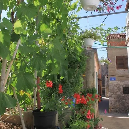 By The Sea Tkon, Pasman - 8227 * Tkon