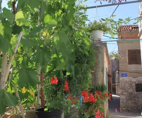 By The Sea Tkon, Pasman - 8227 * Tkon