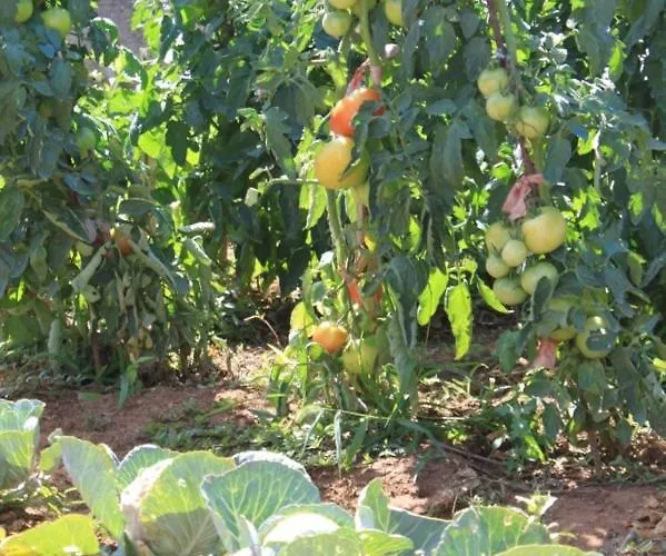 By The Sea Tkon, Pasman - 8227 Apartman